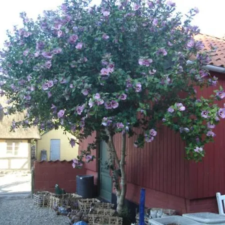 Zajazd Vindeballe Ærøskøbing